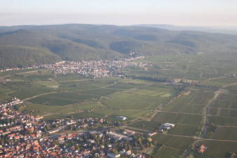 District Königsbach in Neustadt an der Weinstraße in the state Rhineland-Palatinate, Germany