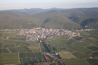 Aerial view of District Königsbach in Neustadt an der Weinstraße in the state Rhineland-Palatinate, Germany