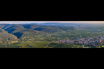 Panorama from the local area and environment in Deidesheim in the state Rhineland-Palatinate