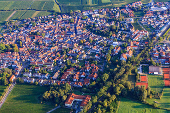 City view from the southeast. In the foreground the hotel Deidesheim in the morning light in Deidesheim in the state Rhineland-Palatinate, Germany