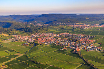 Wine-growing village from the south on the edge of the Haardt in the Palatinate Forest in the morning light in Wachenheim an der Weinstraße in the state Rhineland-Palatinate, Germany