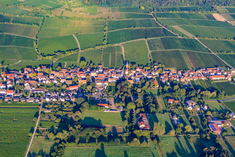 Wine-growing village in front of the Jesuitenmantel and Forster Pechstein vineyards on the edge of the Haardt in the Palatinate Forest in the morning light in Forst an der Weinstraße in the state Rhineland-Palatinate, Germany