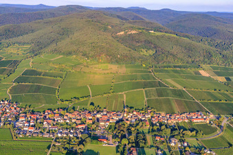 Aerial view of Wine-growing village in front of the Jesuitenmantel and Forster Pechstein vineyards on the edge of the Haardt in the Palatinate Forest in the morning light in Forst an der Weinstraße in the state Rhineland-Palatinate, Germany