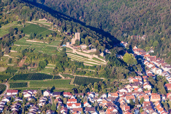 Aerial view of Ruins and vestiges of the former castle and fortress Wachtenburg (Ruin "Burg Wachenheim") in Wachenheim an der Weinstrasse in the state Rhineland-Palatinate, Germany