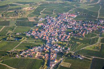 Village - view on the edge of agricultural fields and farmland in Kallstadt in the state Rhineland-Palatinate, Germany