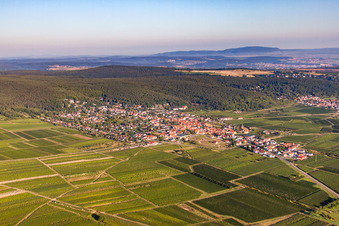 Aerial view of Village - view on the edge of wine yards in Weisenheim am Berg in the state Rhineland-Palatinate, Germany