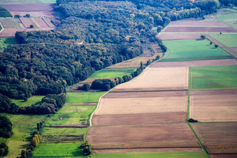 Horbachtal from the west in Barbelroth in the state Rhineland-Palatinate, Germany