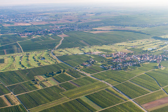 Aerial view of German Wine Route Golf Club in Dackenheim in the state Rhineland-Palatinate, Germany