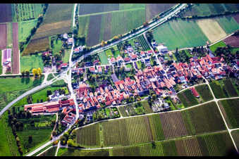 Wine-growing village in Niederhorbach in the state Rhineland-Palatinate, Germany