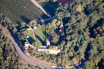 Castle of the fortress Battenberg in the district Neuleiningen-Tal in Battenberg (Pfalz) in the state Rhineland-Palatinate