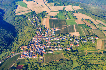 Aerial photograpy of Wine-growing village on the edge of the Haardt in the Palatinate Forest in the morning light in Battenberg in the state Rhineland-Palatinate, Germany