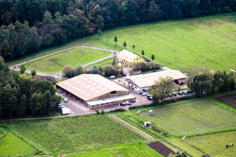 Bienwald Icelandic Horse Stud in Freckenfeld in the state Rhineland-Palatinate, Germany