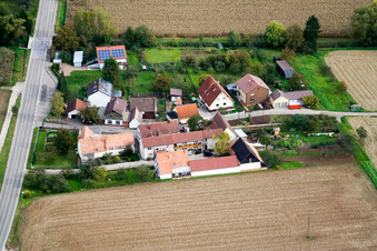 Minfeld, Welschhof in Freckenfeld in the state Rhineland-Palatinate, Germany