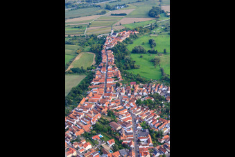 Hinterstädel from the north in Jockgrim in the state Rhineland-Palatinate, Germany from above
