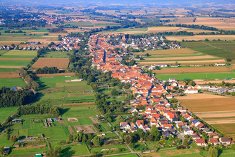 Village view from the east in Freckenfeld in the state Rhineland-Palatinate, Germany
