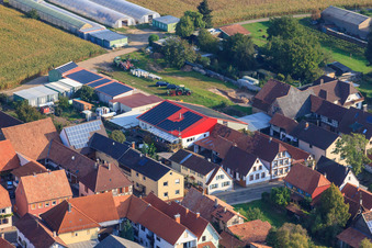 Agricultural holding in Minfeld in the state Rhineland-Palatinate, Germany