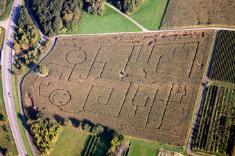 Maze - Labyrinth with the outlines of smileys on a field in Göcklingen in the state Rhineland-Palatinate, Germany