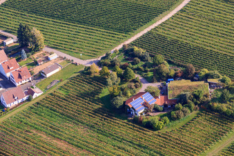 Aerial view of Winemakers under the grass roof in the district Wollmesheim in Landau in der Pfalz in the state Rhineland-Palatinate, Germany