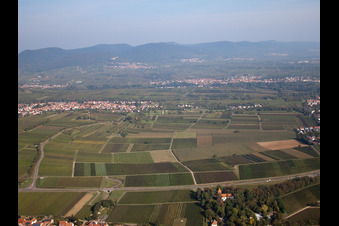 Aerial photograpy of District Arzheim in Landau in der Pfalz in the state Rhineland-Palatinate, Germany