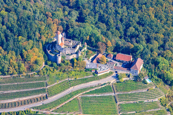 Hornberg Castle in Neckarzimmern in the state Baden-Wuerttemberg, Germany