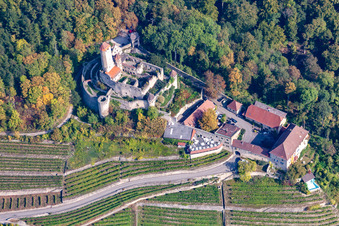 Hornberg Castle at Neckarzimmern in Neckarzimmern in the state Baden-Wuerttemberg, Germany