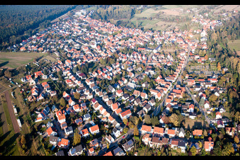 Bird's eye view of Village view in Berg in the state Rhineland-Palatinate, Germany