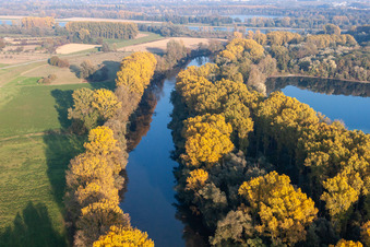 Hagenbacher Altrhein in the district Maximiliansau in Wörth am Rhein in the state Rhineland-Palatinate, Germany