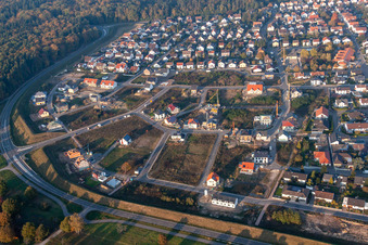 Forstlandallee in Jockgrim in the state Rhineland-Palatinate, Germany from the plane