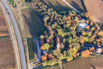 Aerial view of Protest. Church in the district Wollmesheim in Landau in der Pfalz in the state Rhineland-Palatinate, Germany