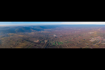 Panorama of the Wine Route and the Haardtrand from Frankweiler to the north in Frankweiler in the state Rhineland-Palatinate, Germany