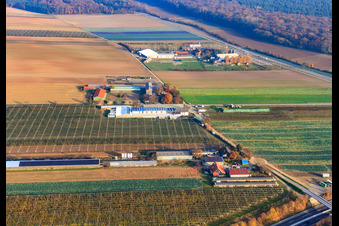 Zapf Hofmarkt and Adamshof in Kandel in the state Rhineland-Palatinate, Germany
