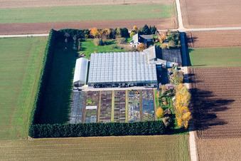 Drone image of Sudetenhof in Steinweiler in the state Rhineland-Palatinate, Germany