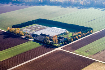 Sudetenhof in Steinweiler in the state Rhineland-Palatinate, Germany seen from a drone