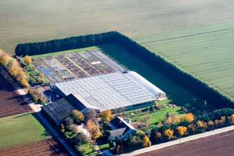 Aerial view of Sudetenhof in Steinweiler in the state Rhineland-Palatinate, Germany