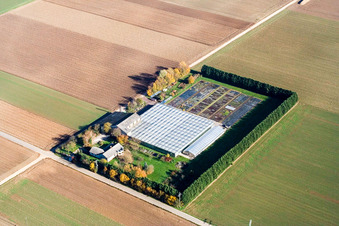 Oblique view of Sudetenhof in Steinweiler in the state Rhineland-Palatinate, Germany