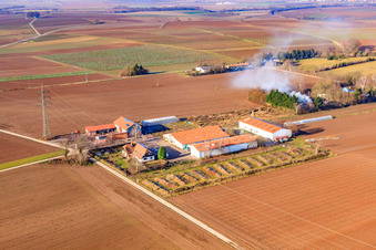 Schossberghof in Minfeld in the state Rhineland-Palatinate, Germany out of the air