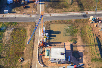 Oblique view of In the sand in Minfeld in the state Rhineland-Palatinate, Germany