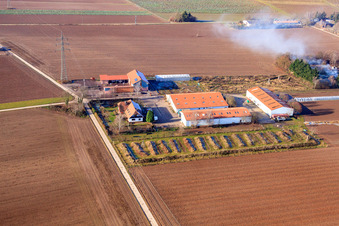 Schossberghof in Minfeld in the state Rhineland-Palatinate, Germany seen from above