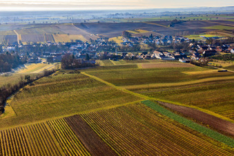 Village view behind vineyards from the north in Dierbach in the state Rhineland-Palatinate, Germany