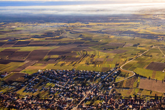 Aerial view of Exit between vineyards from the northwest in the district Rechtenbach in Schweigen-Rechtenbach in the state Rhineland-Palatinate, Germany