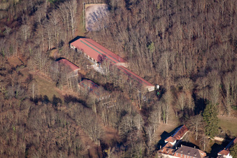 Oblique view of Chateau Langenberg in Weiler in the state Bas-Rhin, France
