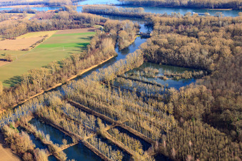 Flooded Rhine meadows in Hördt in the state Rhineland-Palatinate, Germany