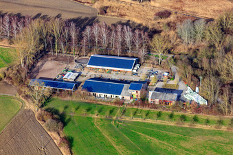 Kennelhof Riding Stables in the district Sondernheim in Germersheim in the state Rhineland-Palatinate, Germany