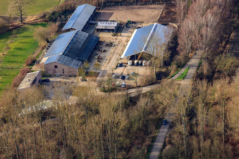 Aerial view of Kennelhof Riding Stables in the district Sondernheim in Germersheim in the state Rhineland-Palatinate, Germany