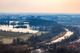 Old Rhine near Neupotu in Neupotz in the state Rhineland-Palatinate, Germany