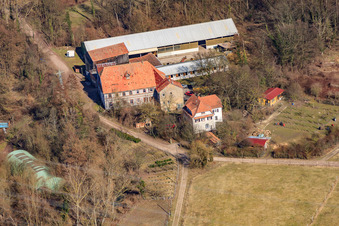 Drone image of Wanzheim Mill in Rheinzabern in the state Rhineland-Palatinate, Germany