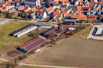 Aerial photograpy of Agricultural buildings at Oberdorf in Rheinzabern in the state Rhineland-Palatinate, Germany