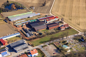 Aerial view of Blacksmith's farm and guesthouse Neupotz in Neupotz in the state Rhineland-Palatinate, Germany
