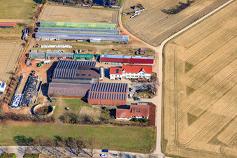 Aerial photograpy of Blacksmith's farm and guesthouse Neupotz in Neupotz in the state Rhineland-Palatinate, Germany