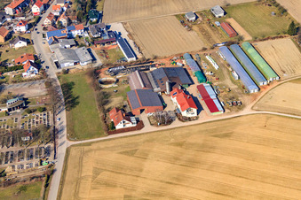 Aerial view of Blacksmith's yard in Neupotz in the state Rhineland-Palatinate, Germany